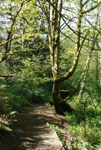 Do Not Refuse to Enter