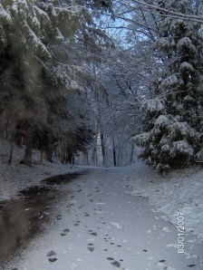 Winter's Path