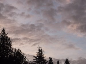 Sunrise, Dec. 25, 2013