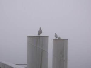 Vancouver BC, October 21, 2014
