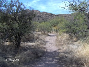 Superstition Mountains, Arizona,  ©Ruth Jewell, November 2005 