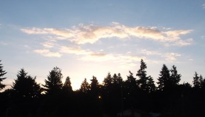 13.07.10 sunrise for blog