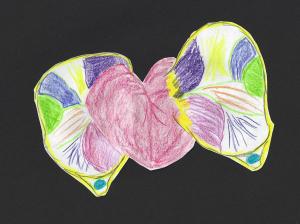 Belong Gives My Heart Wings