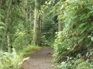 Deception Pass, August 15, 2014