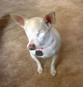 Suzie Pain Control Specialist 