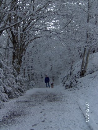 Yost Park, Edmonds WA March 1, 2007 