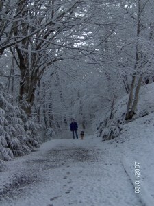 Yost Park, Edmonds WA March 1, 2007 