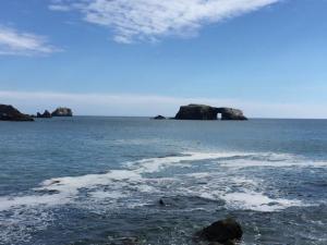 12565573_949959378405674_6512857348508030117_n