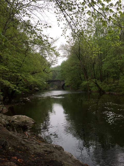 16.05.02, 13139365_1016045755130369_7403150044559668209_n