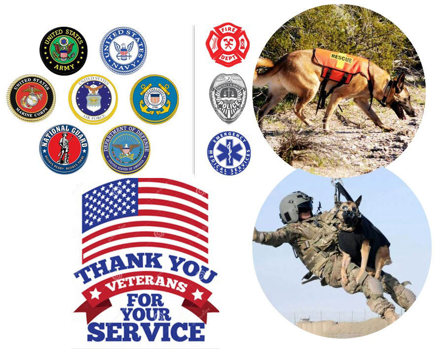 Presentation1_edited