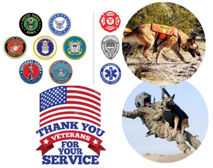 Presentation1_edited